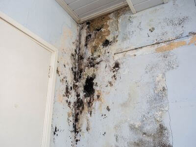 About water damage cleanup - ceiling water damage repair experts in Flint