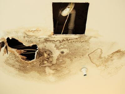 Professional ceiling water damage repair services in Flint - water damage cleanup